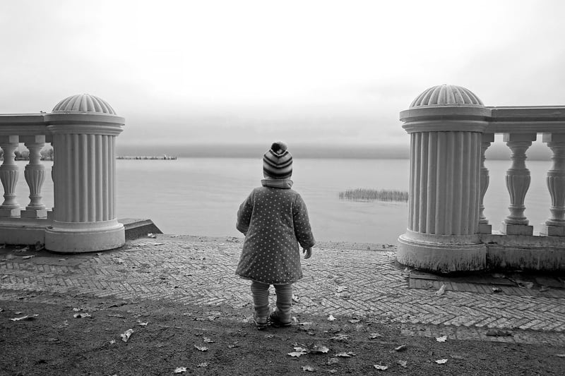 Future Histories
